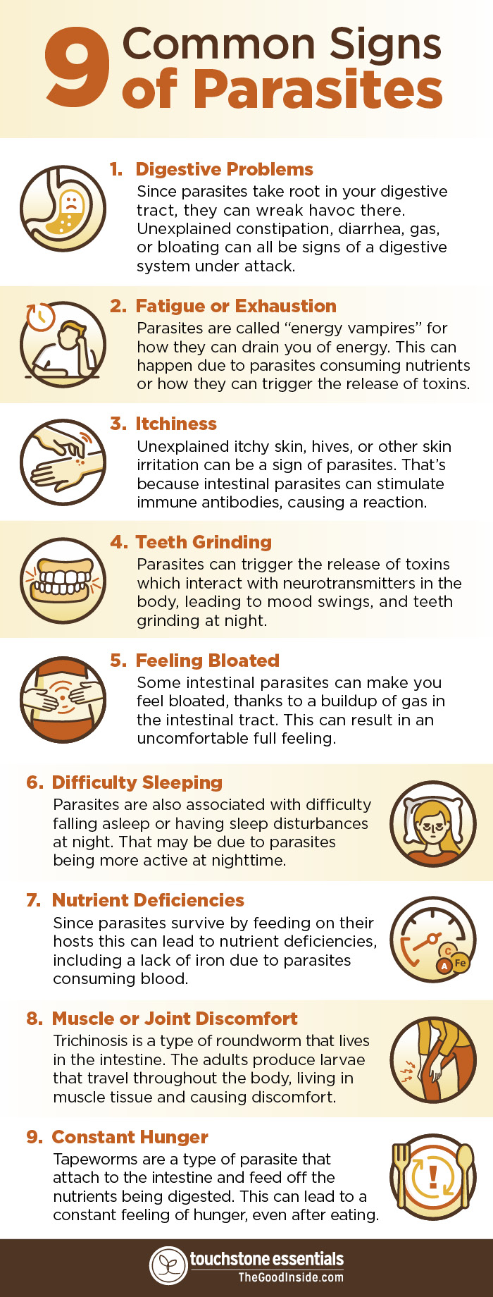 9 Common Signs of Parasites Inforgraphic